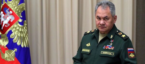Министр обороны РФ Сергей Шойгу Министр обороны РФ Сергей Шойгу - 俄羅斯衛星通訊社