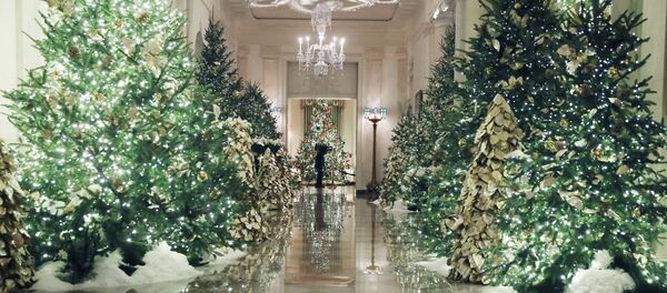 白宫迎圣诞 白宫迎圣诞 - 俄罗斯卫星通讯社