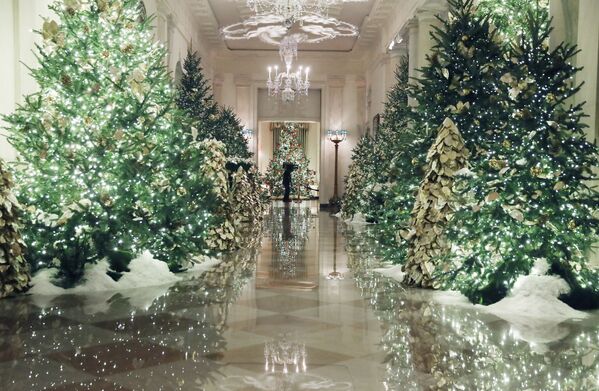 白宫迎圣诞 - 俄罗斯卫星通讯社