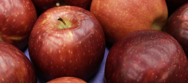 专家教你如何正确吃苹果 专家教你如何正确吃苹果 - 俄罗斯卫星通讯社