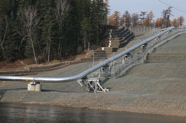 «你好，俄羅斯»節目：“西伯利亞力量”鞏固中俄合作 - 俄羅斯衛星通訊社