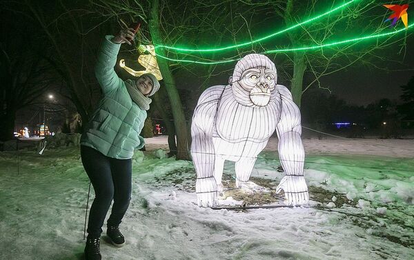 莫斯科索科尔尼基公园举办“中国灯节” - 俄罗斯卫星通讯社