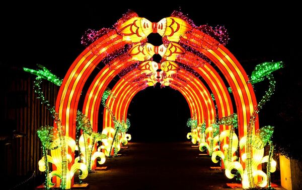 莫斯科索科爾尼基公園舉辦“中國燈節” - 俄羅斯衛星通訊社