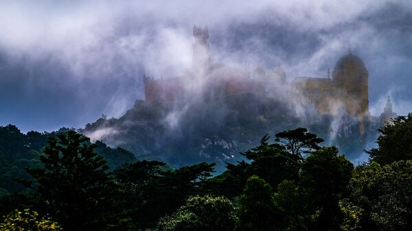 葡萄牙 - 俄罗斯卫星通讯社