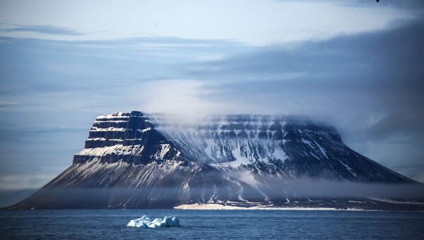 北极科考团宣布北冰洋正在消亡 - 俄罗斯卫星通讯社
