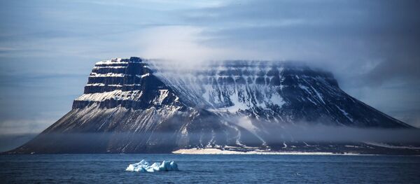 北极科考团宣布北冰洋正在消亡 - 俄罗斯卫星通讯社