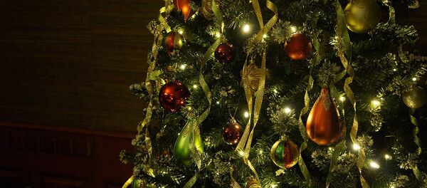 Новогодняя ель Новогодняя ель - 俄罗斯卫星通讯社