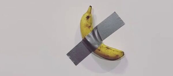 Банан как арт-объект - 俄罗斯卫星通讯社