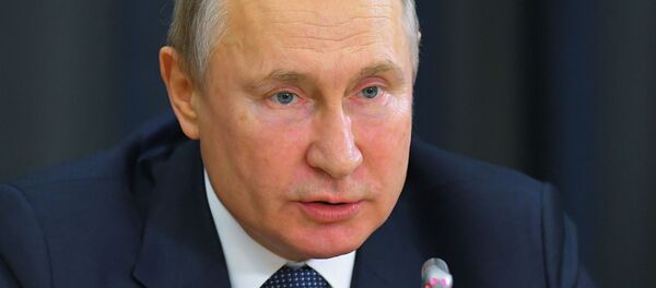 Встреча Владимира Путина с немецкими бизнесменами в Сочи - 俄罗斯卫星通讯社