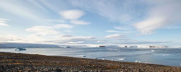 北極地區 - 俄羅斯衛星通訊社