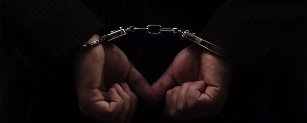 Наручники - 俄罗斯卫星通讯社