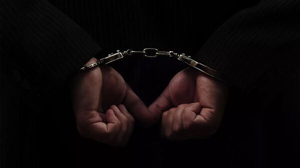 Наручники - 俄罗斯卫星通讯社