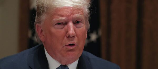 Президент США Дональд Трамп - 俄罗斯卫星通讯社