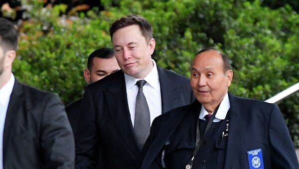 Tesla CEO Elon Musk - 俄罗斯卫星通讯社