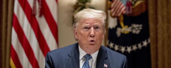 Президент США Дональд Трамп - 俄罗斯卫星通讯社