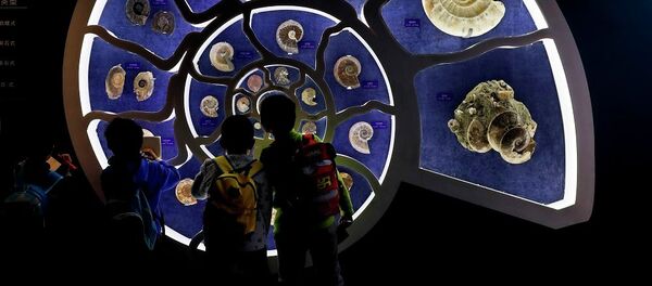 китайские дети  - 俄羅斯衛星通訊社