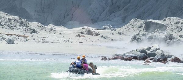 Извержение вулкана в Новой Зеландии - 俄羅斯衛星通訊社