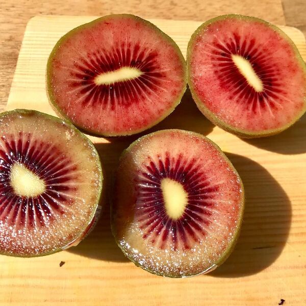 紅色獼猴桃與黃色西瓜“一決高下”（圖片） - 俄羅斯衛星通訊社