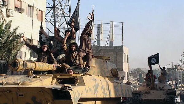 德法英領導人呼籲伊拉克支持打擊IS的聯軍 - 俄羅斯衛星通訊社