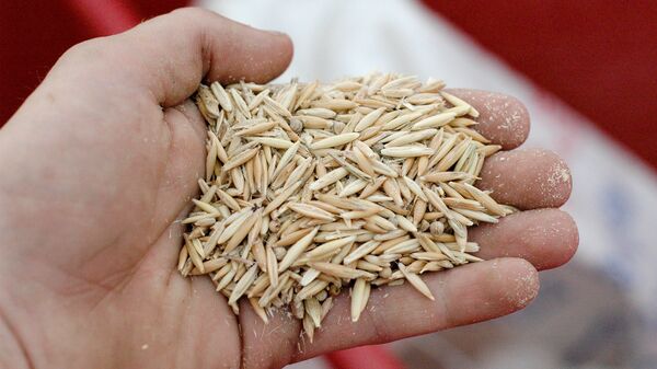 俄农产品出口发展中心：中国已成为俄罗斯燕麦主要进口国