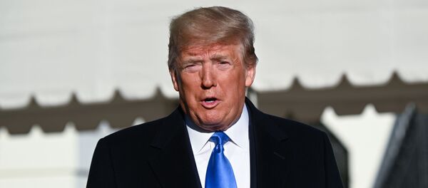 Президент США Дональд Трамп беседует с журналистами в Белом Доме - 俄罗斯卫星通讯社