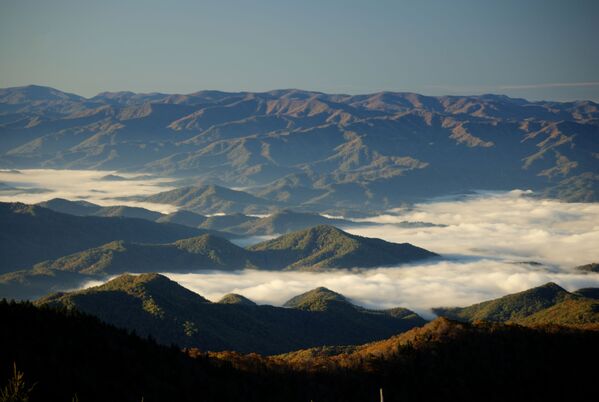 美国大雾山景色 - 俄罗斯卫星通讯社