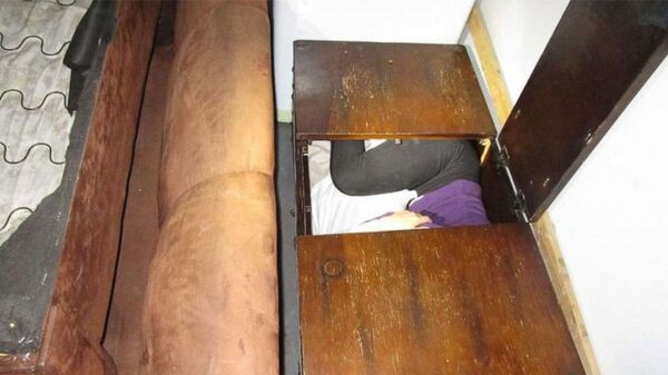 11名中國移民被發現藏在傢具和電器中 - 俄羅斯衛星通訊社