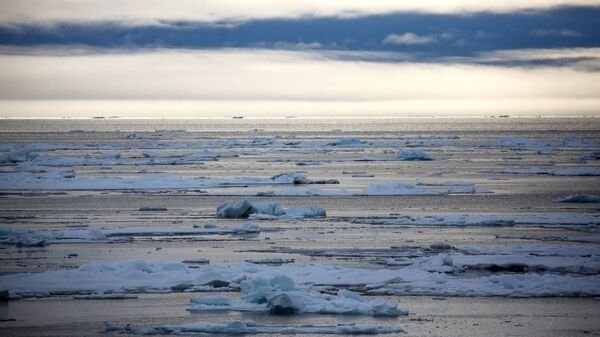 Плавающие льдины в акватории Северного Ледовитого океана - 俄羅斯衛星通訊社
