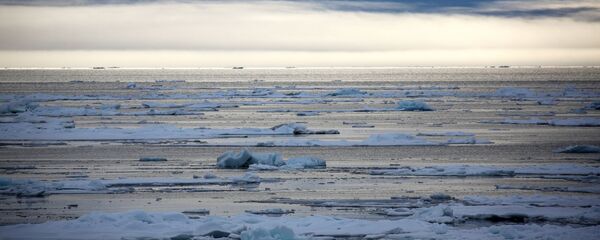 Плавающие льдины в акватории Северного Ледовитого океана - 俄罗斯卫星通讯社
