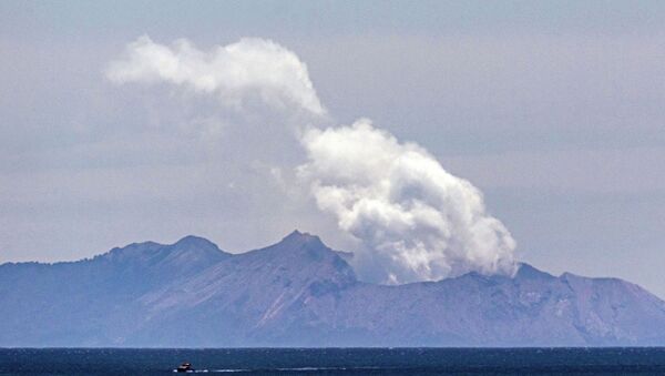 救援人员找到6名新西兰火山喷发遇难者遗体 - 俄罗斯卫星通讯社