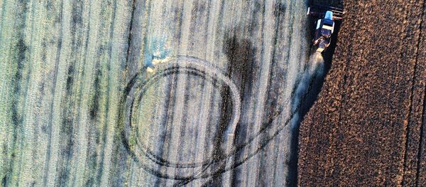 1092吨俄罗斯优质油菜籽搭载中欧班列运抵内蒙古达乌兰察布市 - 俄罗斯卫星通讯社