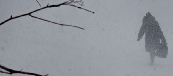 Снежная буря - 俄罗斯卫星通讯社
