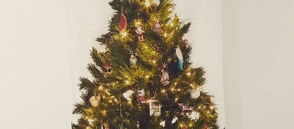 Ель против котов - 俄羅斯衛星通訊社