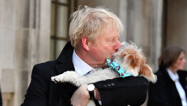 Премьер Британии Джонсон пришел голосовать с собакой - 俄羅斯衛星通訊社