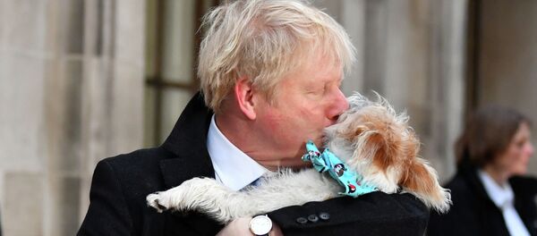 Премьер Британии Джонсон пришел голосовать с собакой - 俄罗斯卫星通讯社