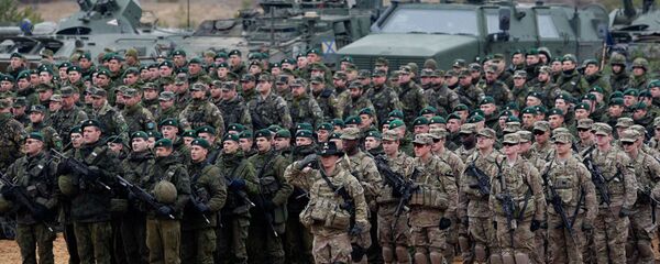 专家解释为何北约要搞“捍卫者-2020”演习 - 俄罗斯卫星通讯社