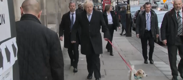 Борис Джонсон взял на выборы свою собаку - 俄罗斯卫星通讯社