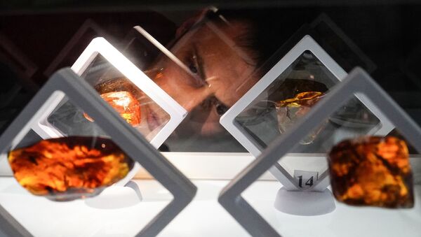 Участники аукциона уникальных сувенирных камней Янтарь-инклюз в Калининграде - 俄罗斯卫星通讯社