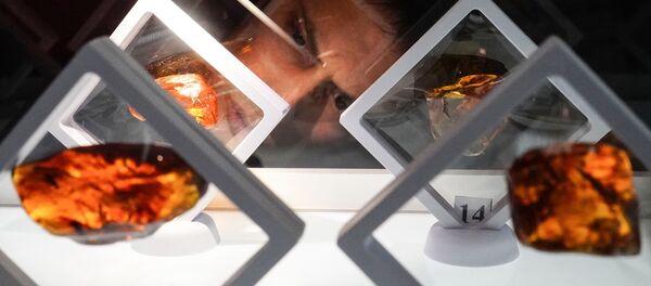 Участники аукциона уникальных сувенирных камней Янтарь-инклюз в Калининграде Участники аукциона уникальных сувенирных камней Янтарь-инклюз в Калининграде - 俄罗斯卫星通讯社