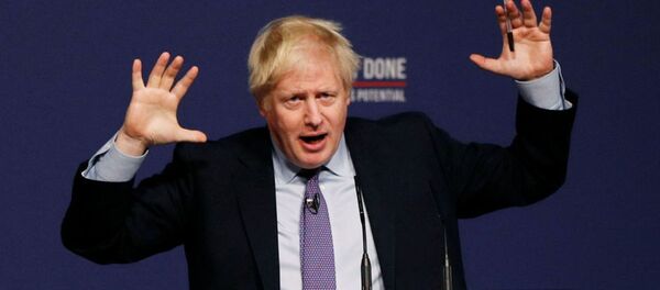 媒体：英国首相禁止本国大臣参加1月举行的达沃斯经济论坛 - 俄罗斯卫星通讯社