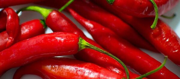 Перец чили - 俄羅斯衛星通訊社