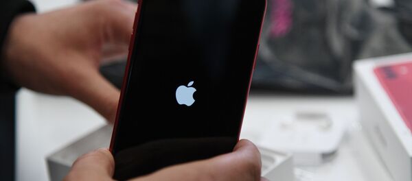 媒体：苹果或于10月13日发布iPhone 12 - 俄罗斯卫星通讯社