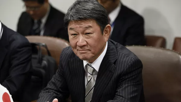 日本外務大臣茂木敏充 - 俄羅斯衛星通訊社