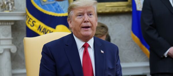 特朗普怒斥《纽约时报》关于总统日常的报道：我从早忙到晚 - 俄罗斯卫星通讯社