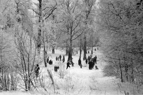 莫斯科亞森內沃小區居民冬季在公園散步。 - 俄羅斯衛星通訊社