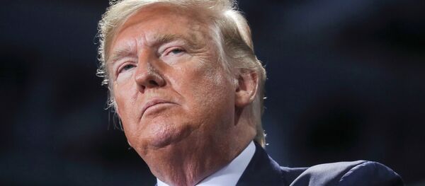 特朗普希望金正恩信守承诺 - 俄罗斯卫星通讯社