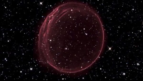 Снимок газового пузыря в форме «алого орнамента», сделанный космическим телескопом Хаббл. NASA - 俄罗斯卫星通讯社