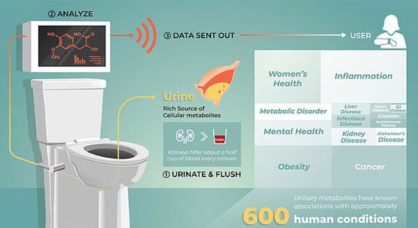 未来的智能厕所会是什么样的? 未来的智能厕所会是什么样的? - 俄罗斯卫星通讯社