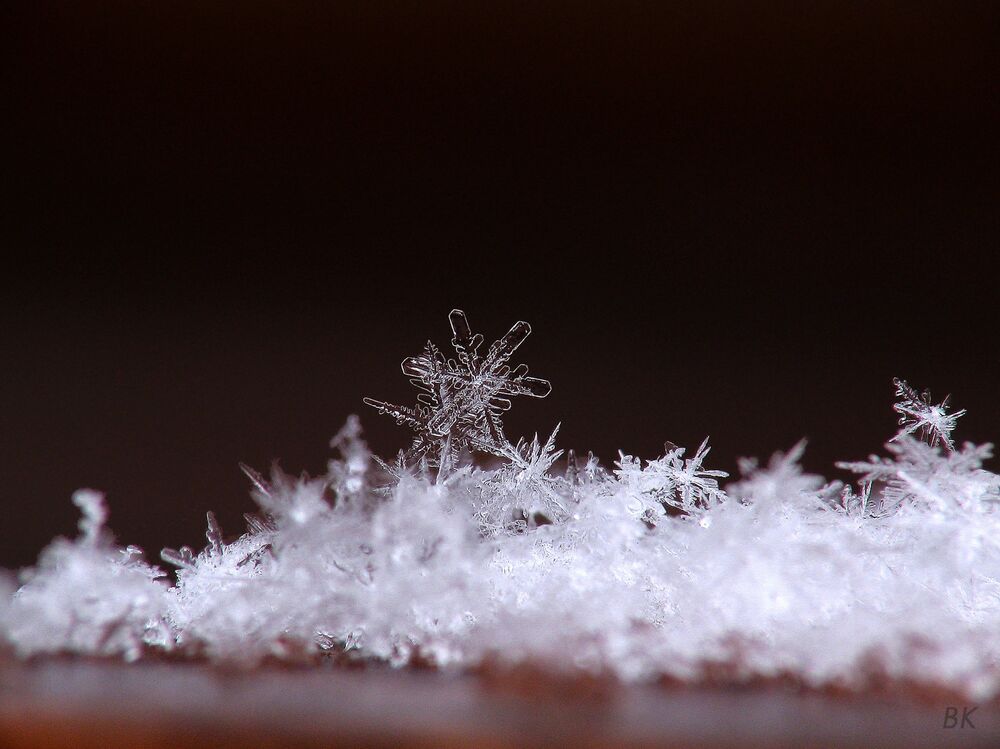 微距模式可以欣賞到美麗的雪花,大自然創造出稍縱即逝的脆弱之美.