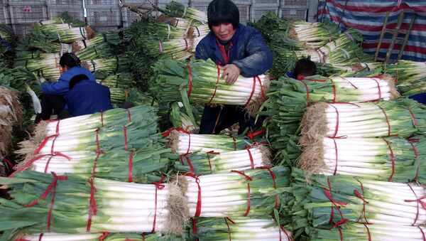 媒体：尼泊尔因印度洋葱出口禁令改从中国进口 - 俄罗斯卫星通讯社